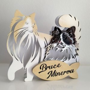 Lampada led gatti Ragdoll - personalizzabile