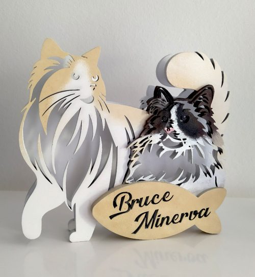 Lampada led gatti Ragdoll - personalizzabile