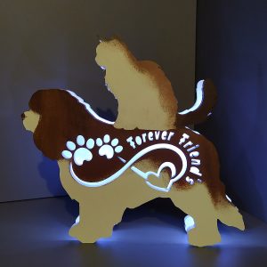 Lampada led Cavalier King e Gatto - Personalizzabile