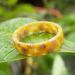 anello in resina con fiori